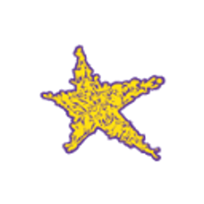 Hollywood Bets official star logo